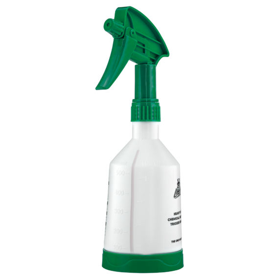 зеленая 500 2