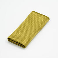 Dry monster Зелёная микрофибра для стекол 35х40 см DM 3540 Diamond GREEN