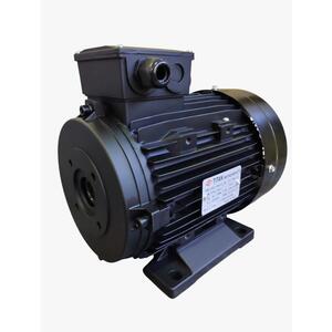 Titan Электродвигатель 230/400 В - 50 Гц, 5,5 кВт (фланец 75мм)