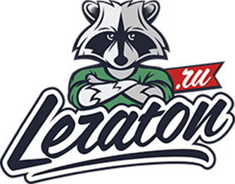 Большой логотип